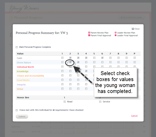 Young Women's Personal Progress -- Leader Summary