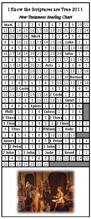 NT reading chart bookmark