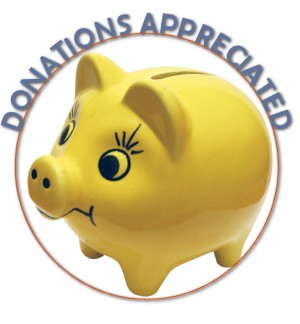 donatepig