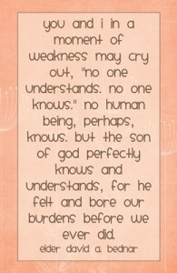 You and I in a moment of weakness may…quote DAVID A. BEDNAR