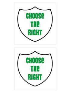 choose-the-right-primary-theme-cd-case-2
